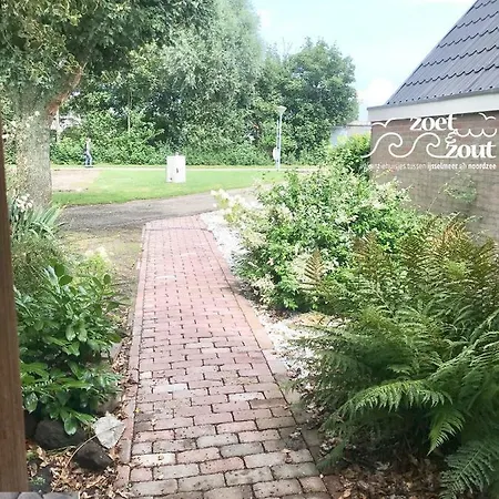 Basalt 6 P Amsterdam And The *